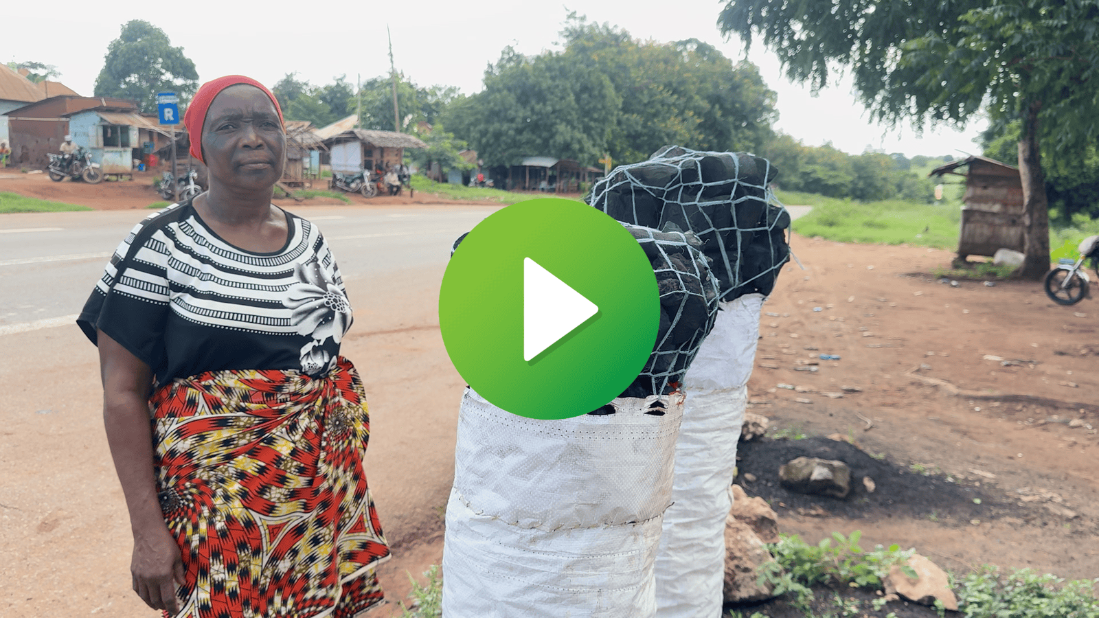 Leaving Charcoal Behind: How Tree Farming Changed One Family's Life in Tanzania